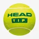 Тенісні м'ячі Head Tip Green 3ball