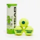 Тенісні м'ячі Head Tip Green 3ball