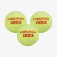 Тенісні м'ячі Head Tip Orange 3ball