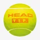 Тенісні м'ячі Head Tip Orange 3ball