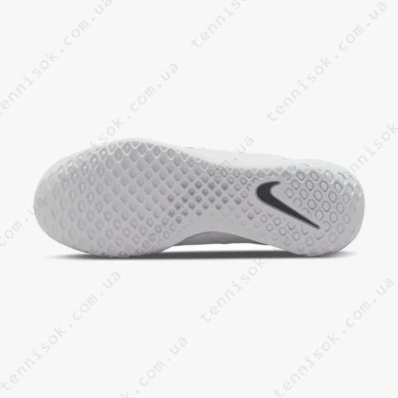 Тенісні кросівки Nike Court Zoom NXT HC DH0219-100