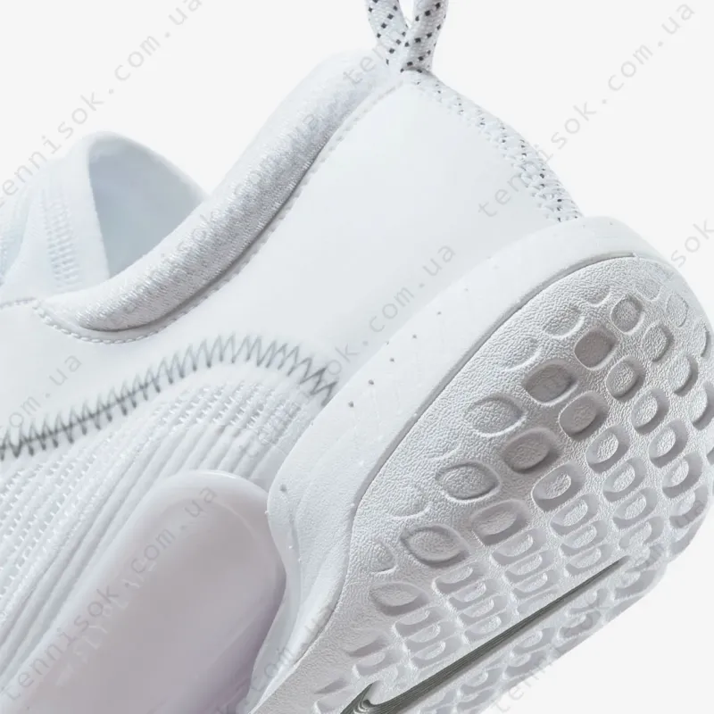 Тенісні кросівки Nike Court Zoom NXT HC DH0219-100