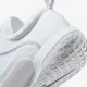 Тенісні кросівки Nike Court Zoom NXT HC DH0219-100