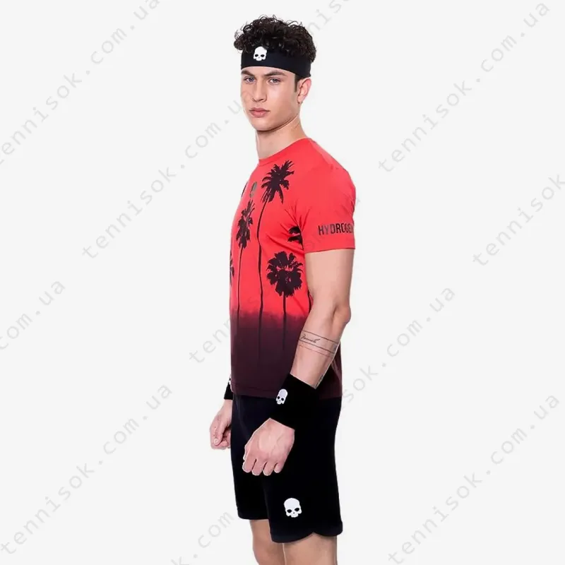 Теннисная футболка Hydrogen Palm Tech Tee Man T00416-002