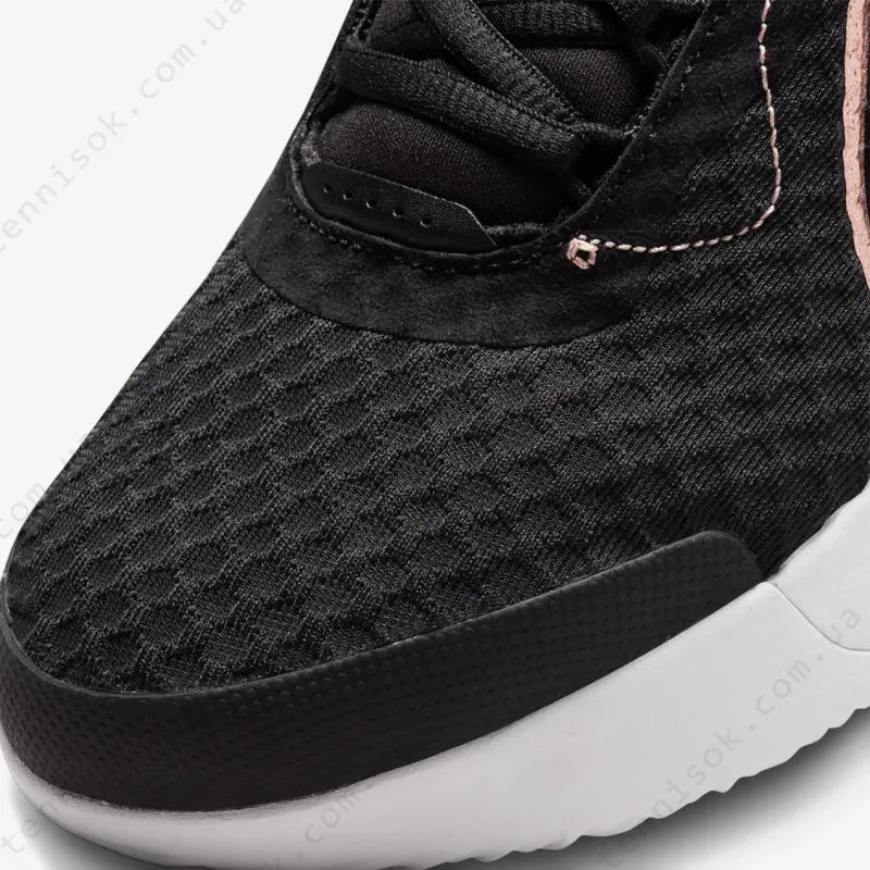 Теннисные кроссовки Nike Zoom Court Pro HC DH0990-091
