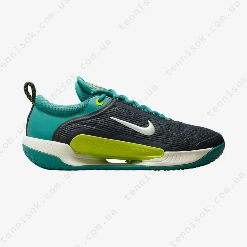 Тенісні кросівки Nike Court Zoom NXT HC DV3276-300