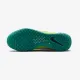 Тенісні кросівки Nike Court Zoom NXT HC DV3276-300