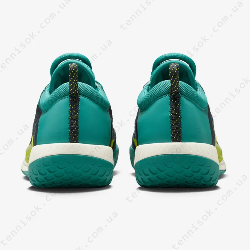 Тенісні кросівки Nike Court Zoom NXT HC DV3276-300