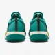 Тенісні кросівки Nike Court Zoom NXT HC DV3276-300