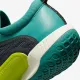 Тенісні кросівки Nike Court Zoom NXT HC DV3276-300