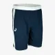 Тенісні шорти Asics Men's Team Resolution Short 2041A201-5001