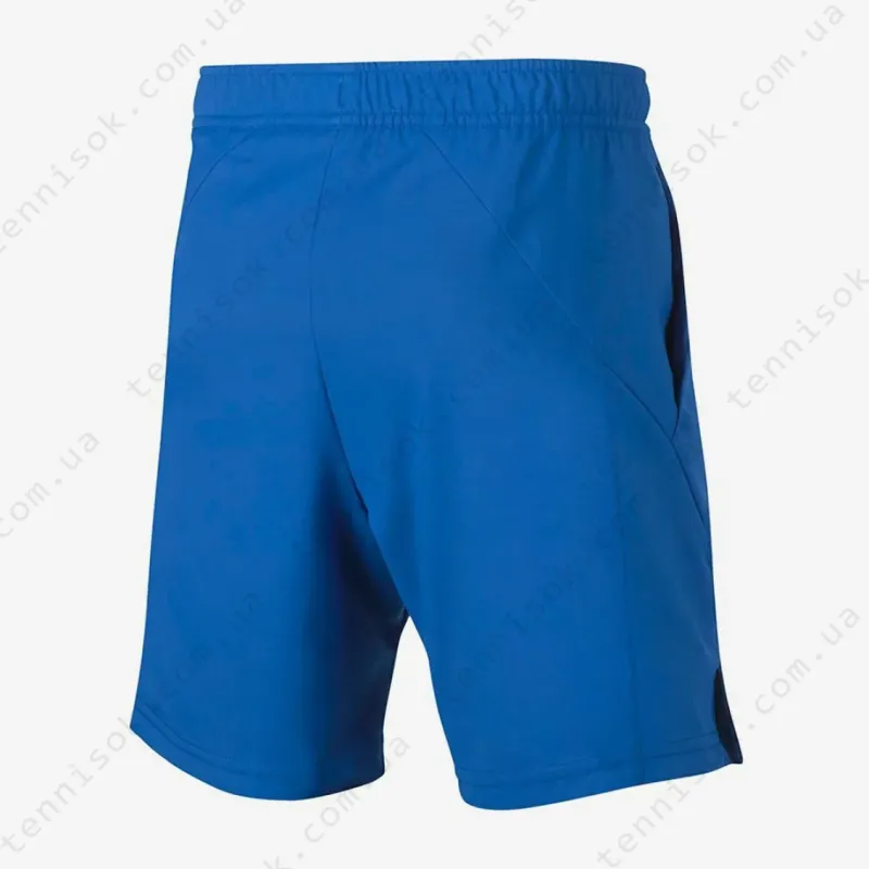 Теннисные шорты Nike Court Dri-FIT AR2484-403