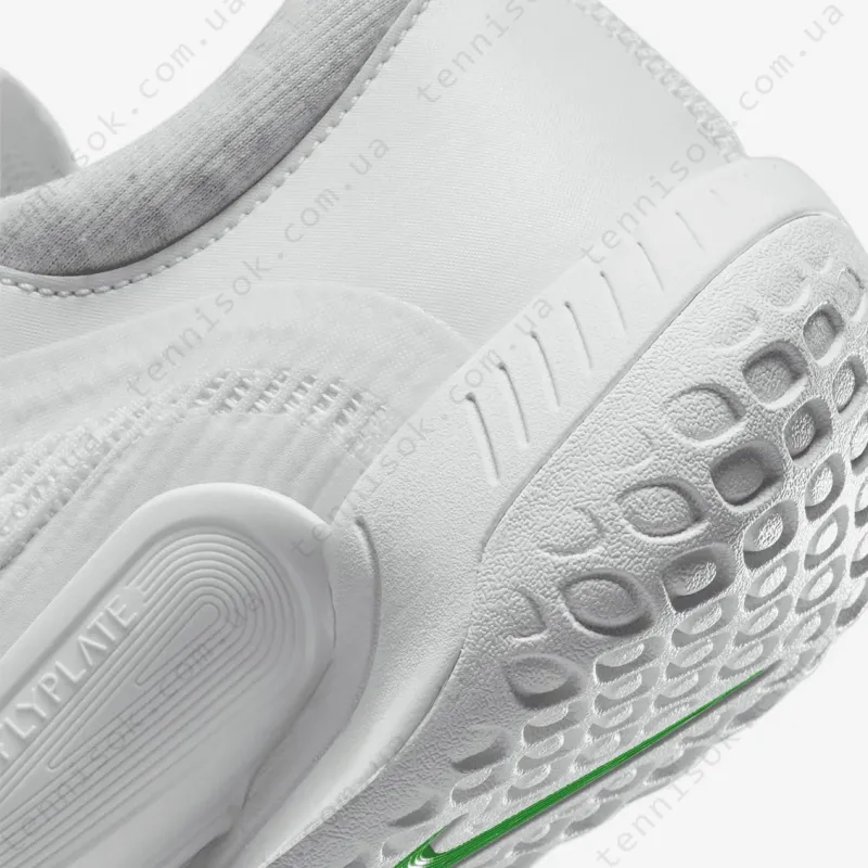 Теннисные кроссовки Nike Court Zoom NXT HC DV3282-102