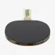 Donic Fetzner 400 2-Player Table Tennis Set