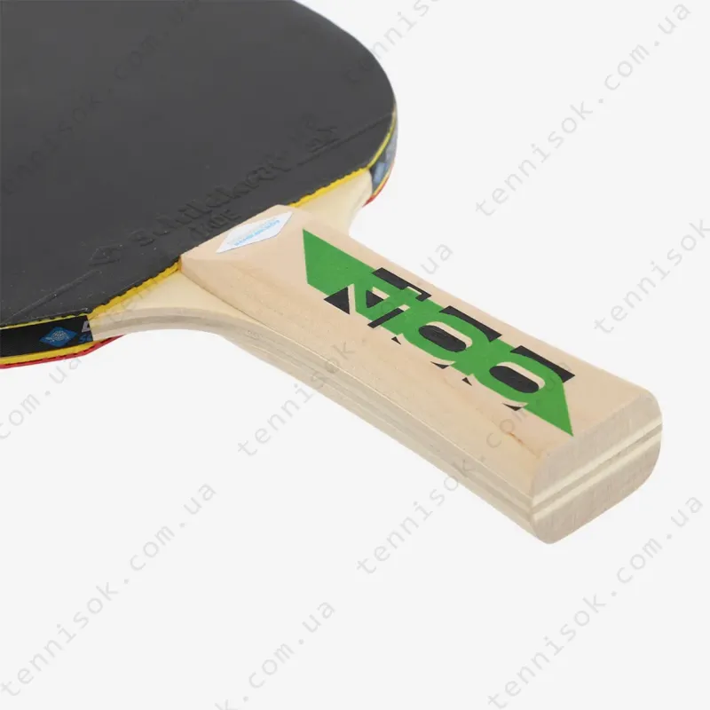 Donic Fetzner 400 2-Player Table Tennis Set