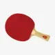 Ракетка для настольного тенниса DHS Gold Medal Ma Long 01