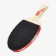 Ракетка для настольного тенниса DHS Gold Medal Ma Long 01