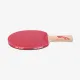 Ракетка для настольного тенниса DHS Gold Medal Ma Long 01