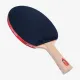 Ракетка для настольного тенниса DHS Gold Medal Ma Long 01