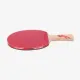 Ракетка для настольного тенниса DHS Gold Medal Ma Long 02