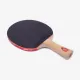 Ракетка для настольного тенниса DHS Gold Medal Ma Long 02