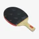 Ракетка для настольного тенниса DHS Gold Medal Ma Long 02