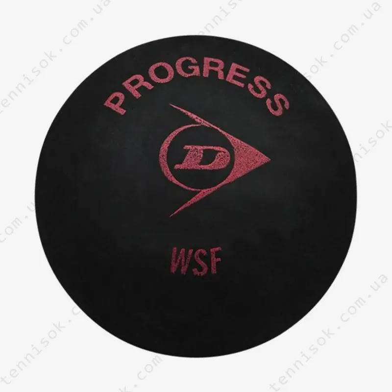 Мячи для сквоша Dunlop Progress 12pcs/box