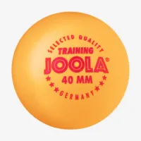 М'ячики Joola Training Orange 40mm (поштучно)