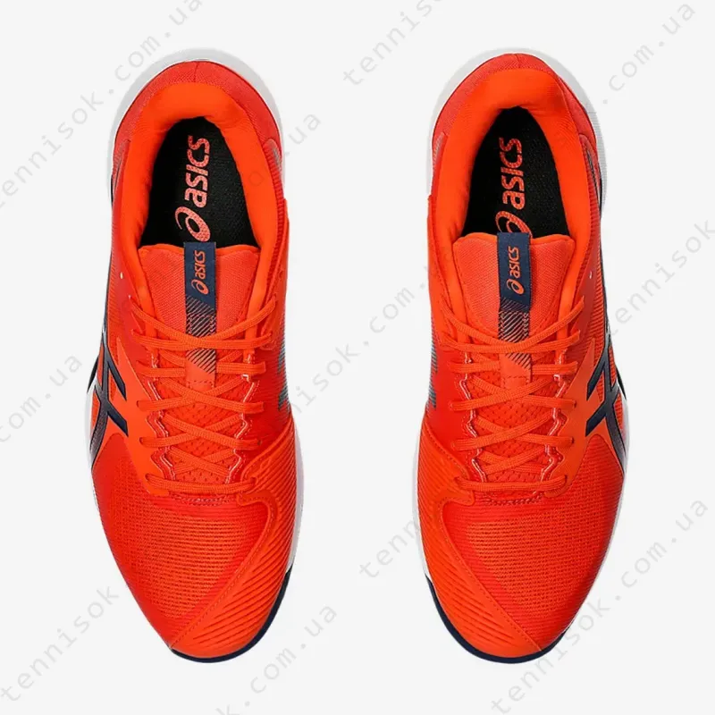 Теннисные кроссовки Asics Solution Speed FF 3 Clay 1041A437-800