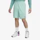 Теннисные шорты Nike Dri-FIT Totality 9In DV9328-310