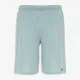 Теннисные шорты Nike Dri-FIT Totality 9In DV9328-310