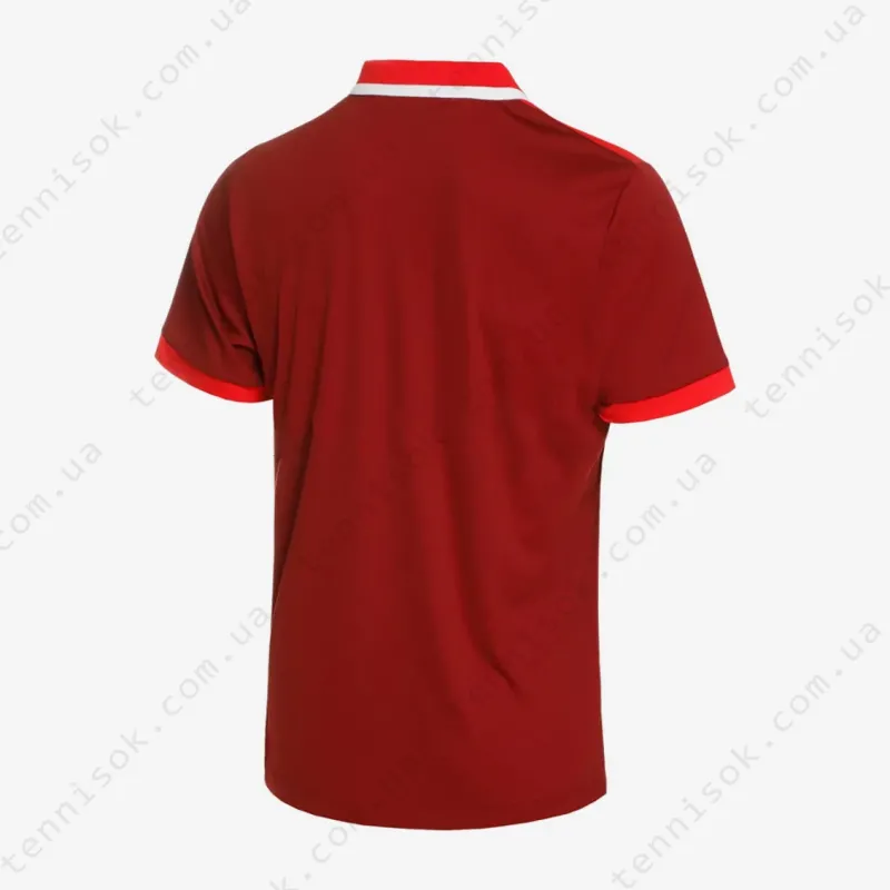 Теннисное поло Asics Men Court Polo Shirt 2041A256-601