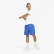 Теннисные шорты Nike Court Dri-FIT Victory CV2545-480