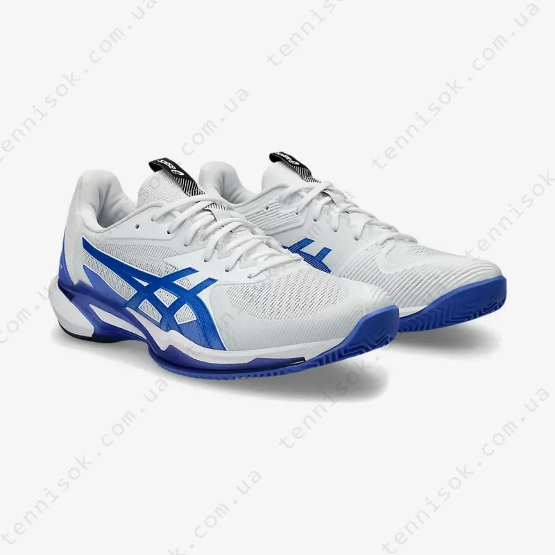 Теннисные кроссовки Asics Solution Speed FF 3 Clay 1041A437-100