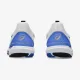 Теннисные кроссовки Asics Solution Speed FF 3 Clay 1041A437-100