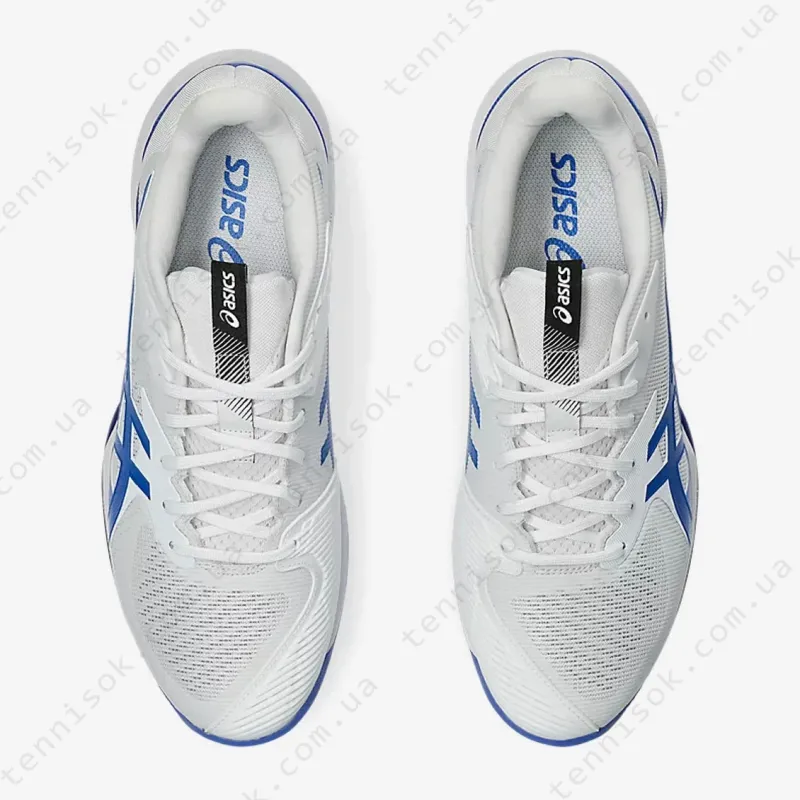 Теннисные кроссовки Asics Solution Speed FF 3 Clay 1041A437-100