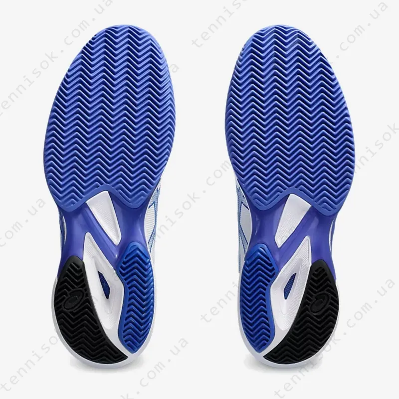 Теннисные кроссовки Asics Solution Speed FF 3 Clay 1041A437-100