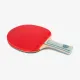 Ракетки для настільного тенісу 729 1060