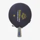 Ракетки для настільного тенісу 729 FS Gold 1 Star