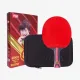 Ракетка для настольного тенниса DHS H8002