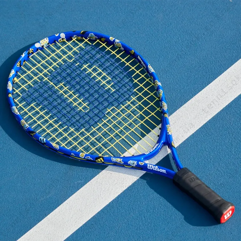 Детская теннисная ракетка Wilson Minions 3.0 JR 25 WR124110H