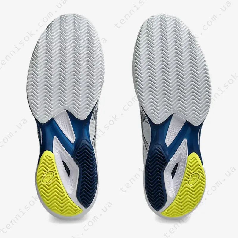 Теннисные кроссовки Asics Solution Speed FF 3 Clay 1041A437-102