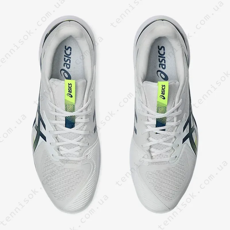 Теннисные кроссовки Asics Solution Speed FF 3 Clay 1041A437-102