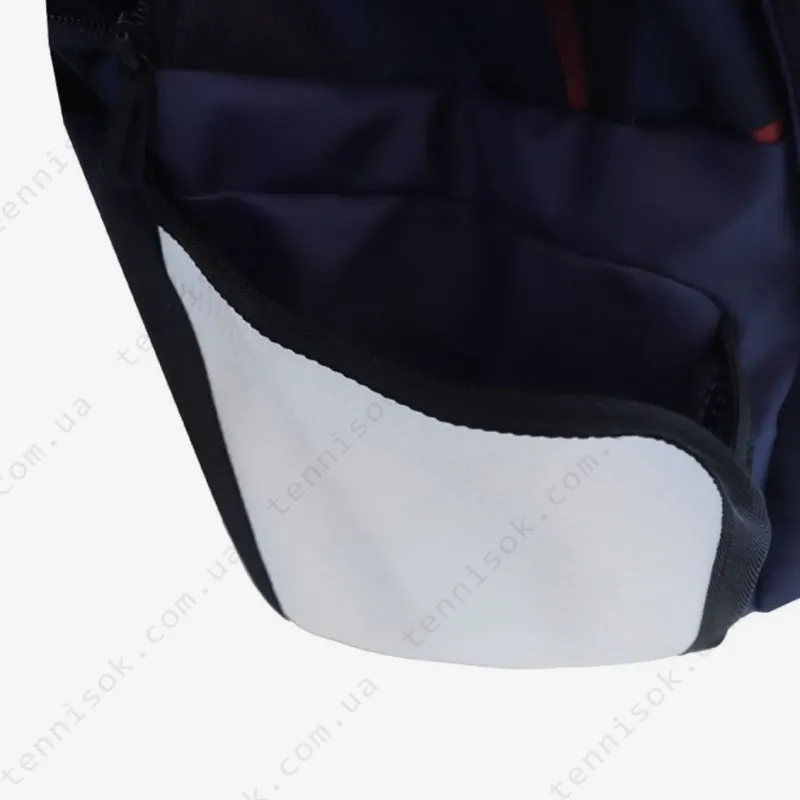 Рюкзак Yonex BAG12PALD Limited Pro Backpack