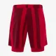 Теннисные шорты Nike Court Slam Dri-Fit Tennis Shorts FD5218-687