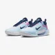 Тенісні кросівки Nike Court Zoom NXT HC DH0219-401
