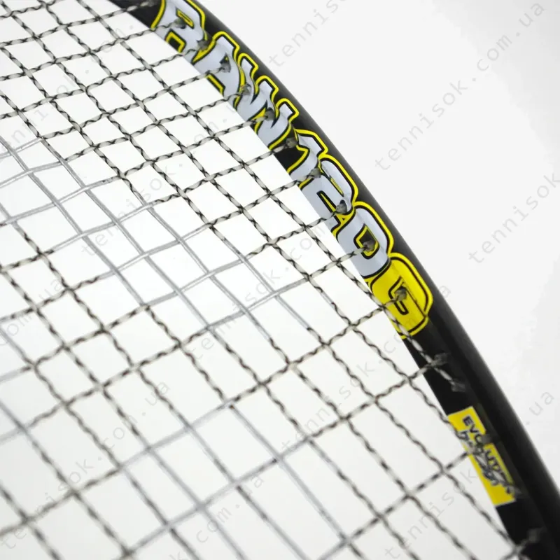 Ракетка для сквоша Karakal Raw 120 2.1