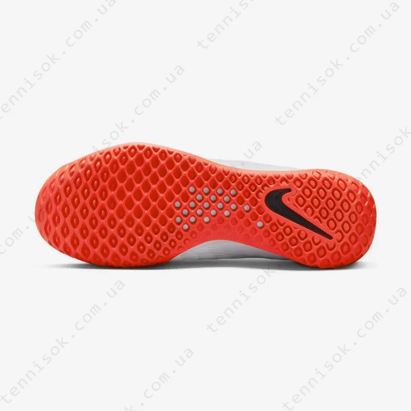 Тенісні кросівки Nike Court Zoom NXT HC DV3276-100