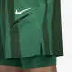 Теннисные шорты Nike Court Slam Dri-Fit Tennis Shorts FD5218-365