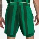 Теннисные шорты Nike Court Slam Dri-Fit Tennis Shorts FD5218-365